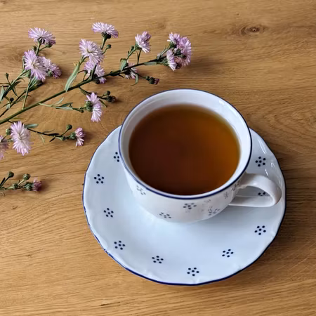 VERONA Valbella Kaffekopp 25cl