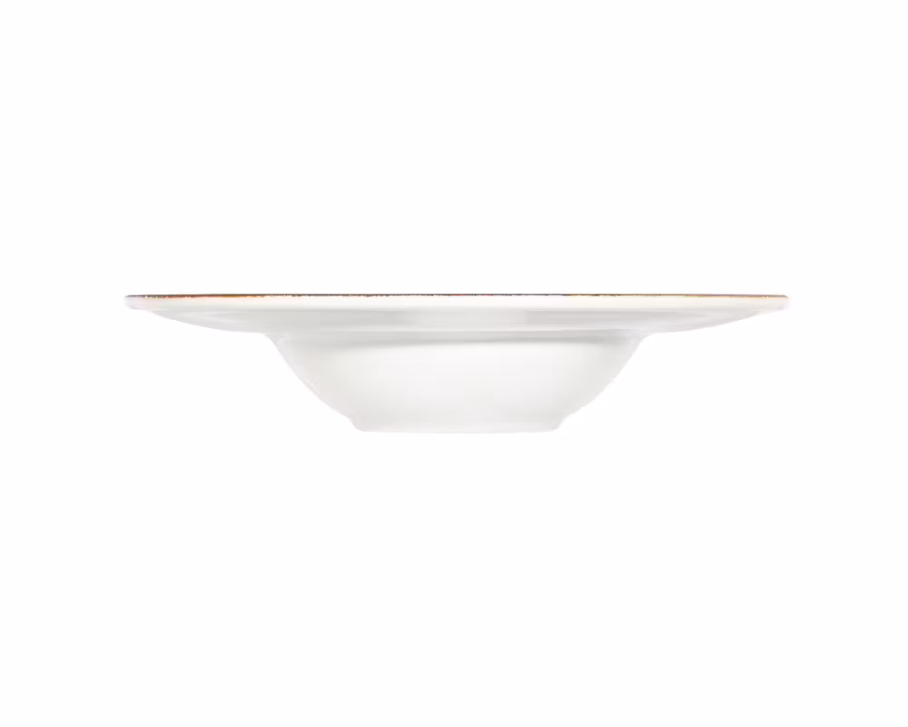 Delta MIRO Djup Tallrik 29 cm Med Brett Bräm, IDFine