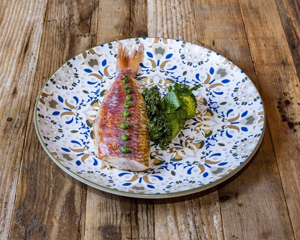 TENANGO Tallrik Gourmet flat D25cm