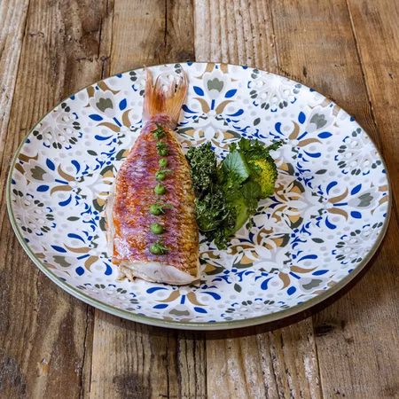TENANGO Tallrik Gourmet flat D25cm