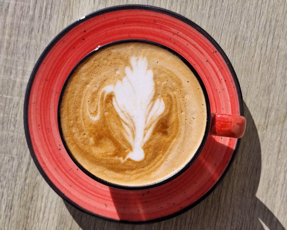 PASSION Te/Kaffekopp 23cl