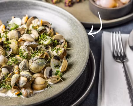 Hornfels Tallrik djup D19cm