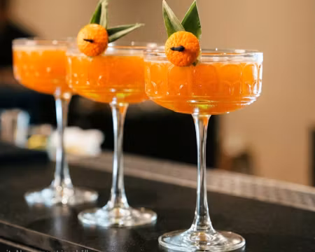 Archie Champagneglas 25cl, LAV Horeca