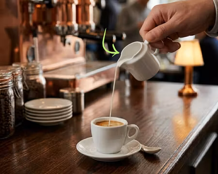 PRINCIP Mjölkkanna 10cl