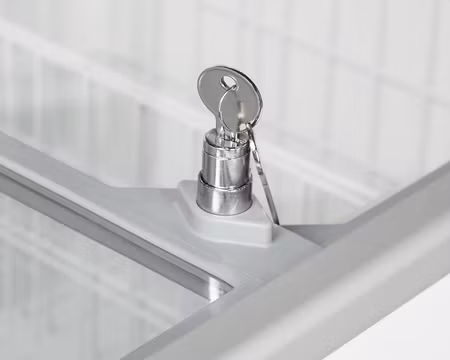 Glassfrys IC201SC, 720x630x892mm 191 Liter, TEFCOLD