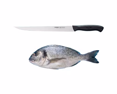 Ecco Fisk Fille kniv 25 cm svart, PIRGE