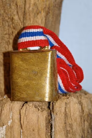 Supporter Bjella 2026