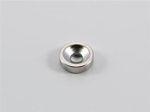1st / Neodym-magneter 10 mm rund (KM)