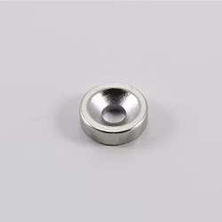 1st / Neodym-magneter 10 mm rund (KM)