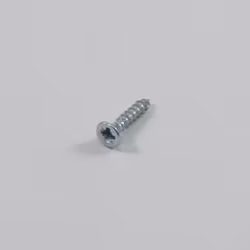 Skruv 2,5 x 12 mm (A21Q)