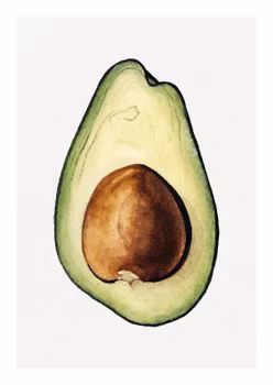Fruktposter - Avocado i genomskärning (Fri frakt!)