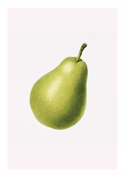 Fruktposter - Päron (Fri frakt!)