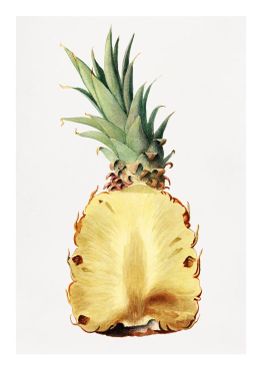 Fruktposter - Ananas i genomskärning (Fri frakt!)