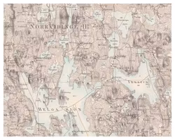 Historisk karta över Rottne, år 1873 (Fri frakt!)