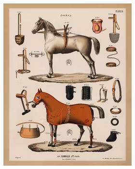Alphonse Camilles vackra sadlar och hästtillbehör. (Poster 2)