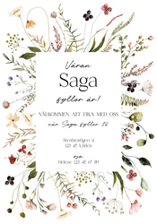 Saga