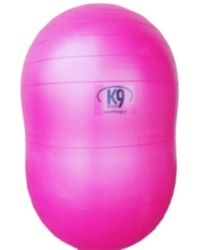 DuoPaw boll 80cm