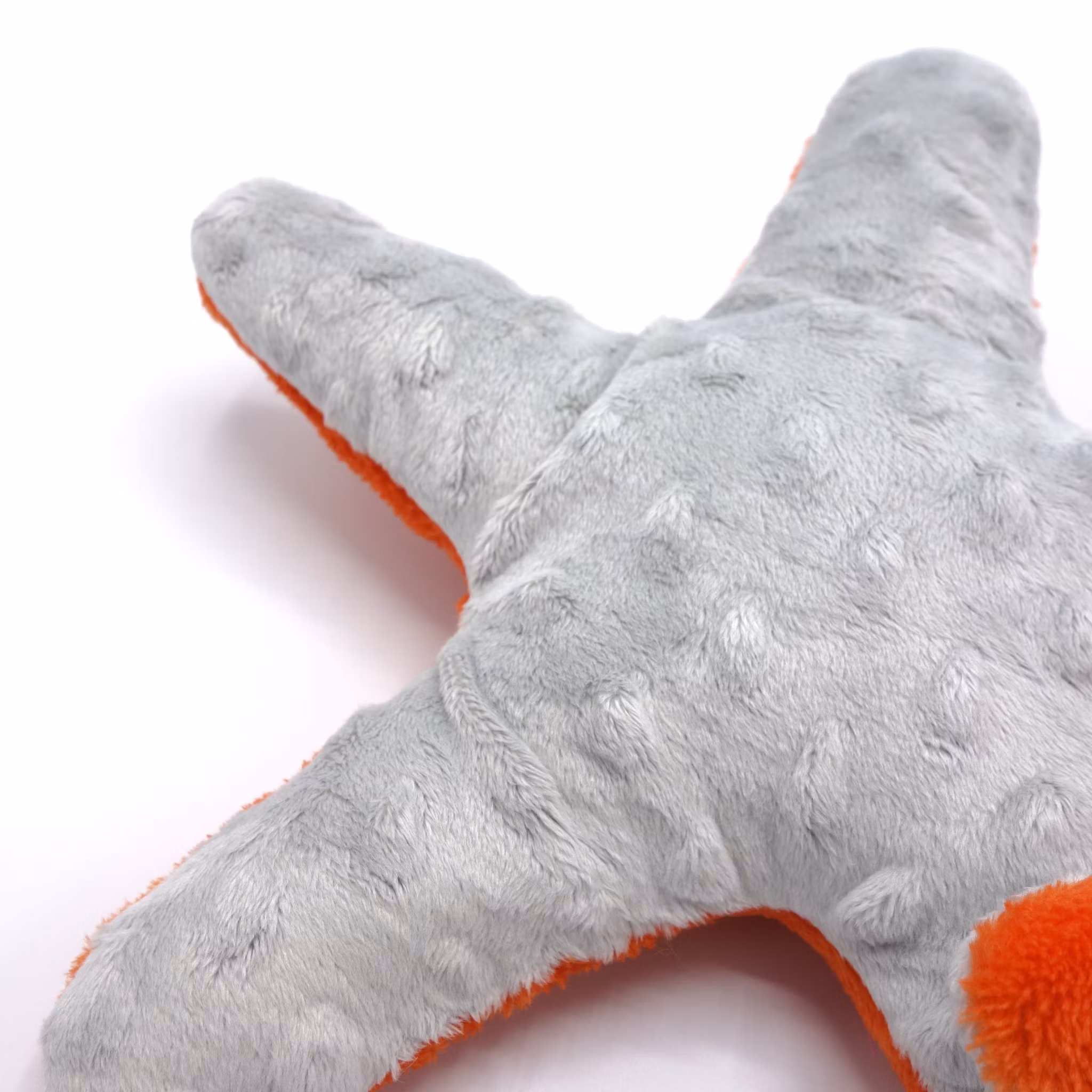 Sjöstjärna large
