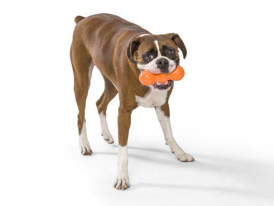Rumpus, small Zogoflex