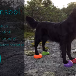 Halvboll - Half ball