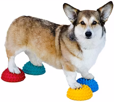 FitPaws PawPods 4pcs
