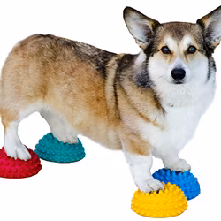 FitPaws PawPods 4-pack