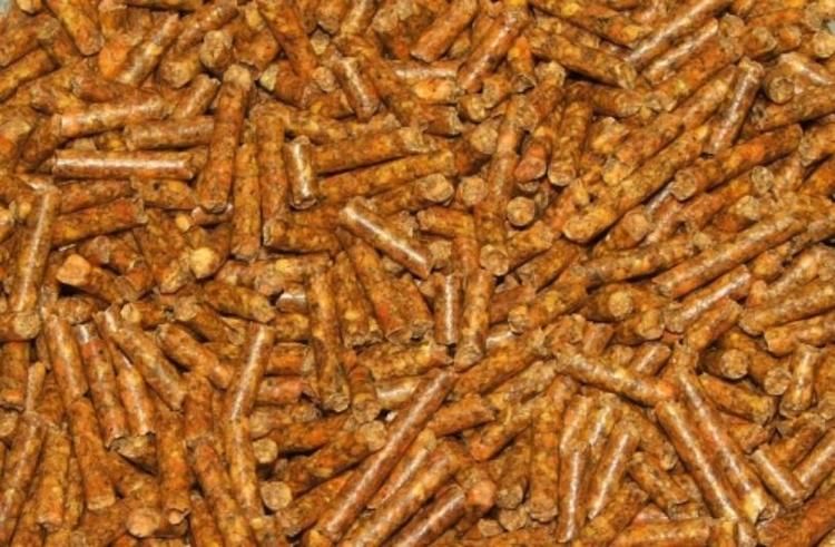 Morotspellets