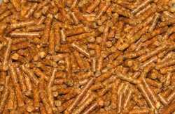 Morotspellets