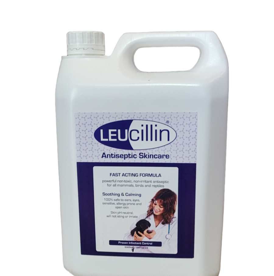 Leucillin 12pcs