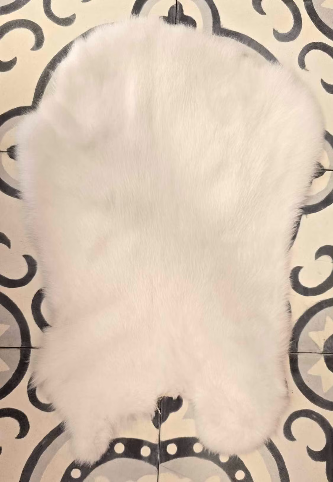 Vit / White