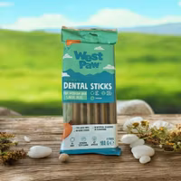 West Paw Dental Stick