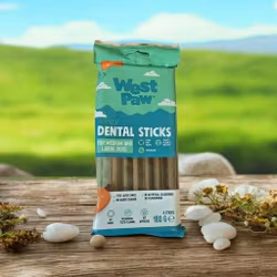 West Paw Dental Stick