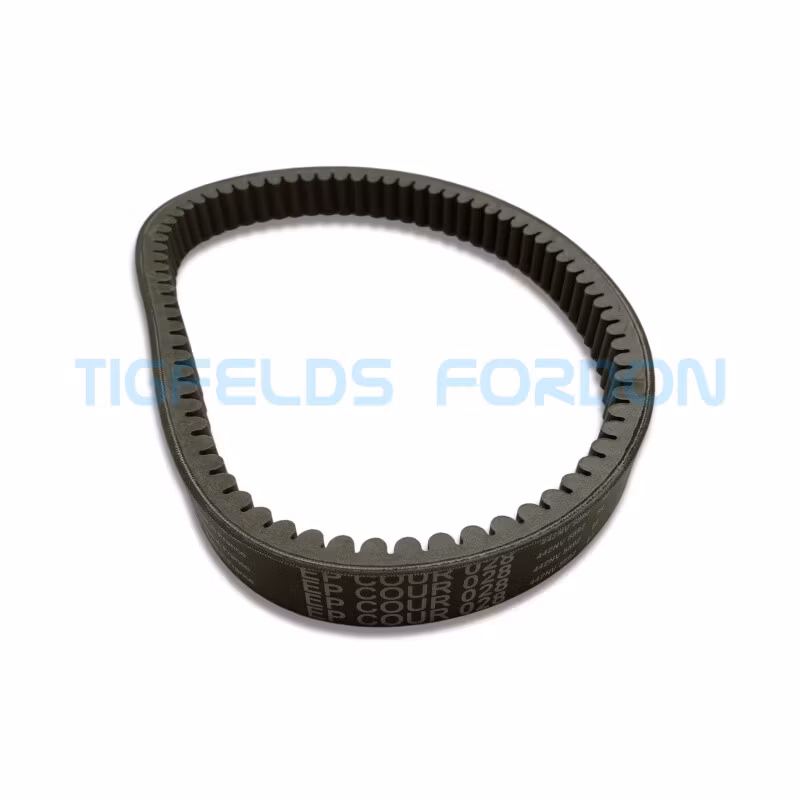 Drive belt - EPCOUR028