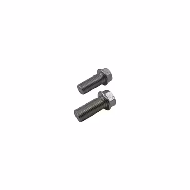 Monteringsbult till bromsokhållare bak - Ligier/Microcar (2-pack)