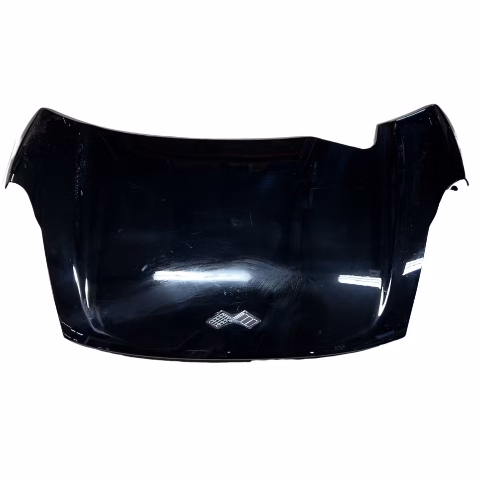 Hood Black - Ligier JS50 V1 (Used)