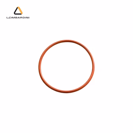 O-ring till termostat - Lombardini FOCS/Progress