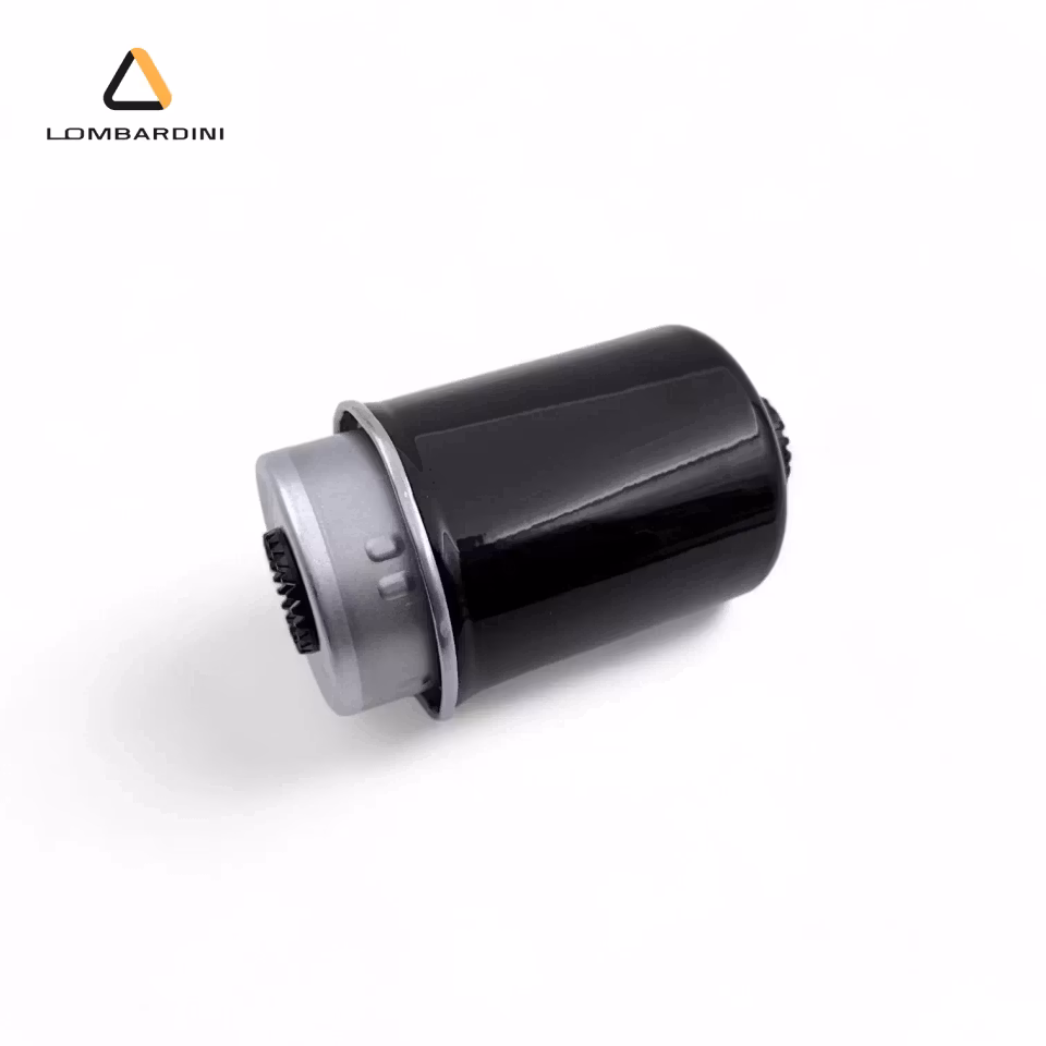 Bränslefilter Stora Lombardini DCi/HDi