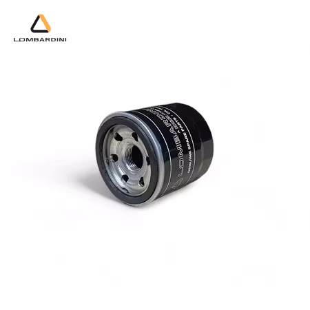 Oljefilter Lombardini DCI/HDI