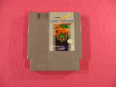 Life Force Salamander - NES SCN