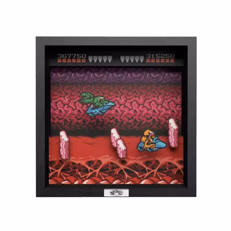 (Nytt) Battletoads: Turbo Tunnel - Pixel Frames