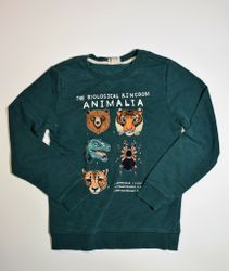 Sweatshirt, storlek 134/140