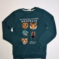 Sweatshirt, storlek 134/140