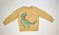 Sweatshirt, storlek 128