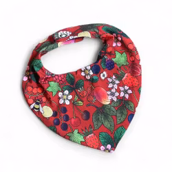 Dregglis, Trädgårdsbär