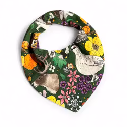 Dregglis, fjäll längtan grön