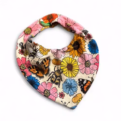 Dregglis, blomsteräng créme