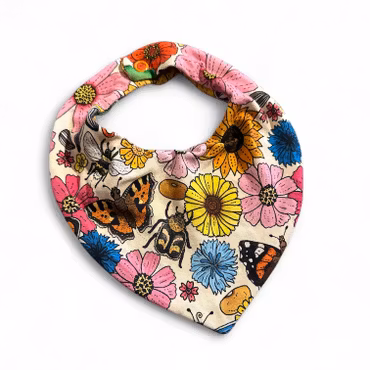 Dregglis, blomsteräng créme