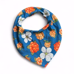 Dregglis, hjortron blå