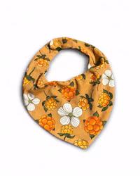 Dregglis, hjortron beige