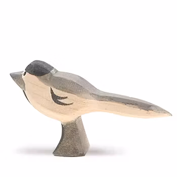 Sädesärla - från Ostheimer